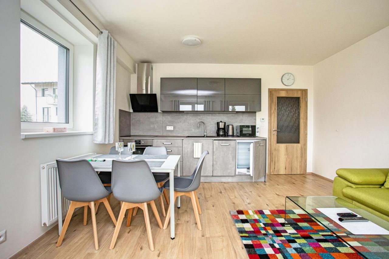Green apartment Klínovec Loučná pod Klínovcem Exterior foto