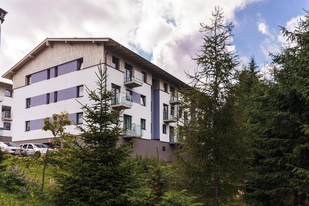 Green apartment Klínovec Loučná pod Klínovcem Exterior foto