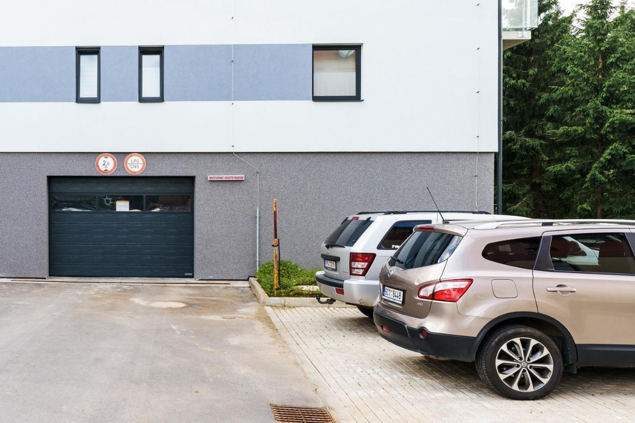 Green apartment Klínovec Loučná pod Klínovcem Exterior foto